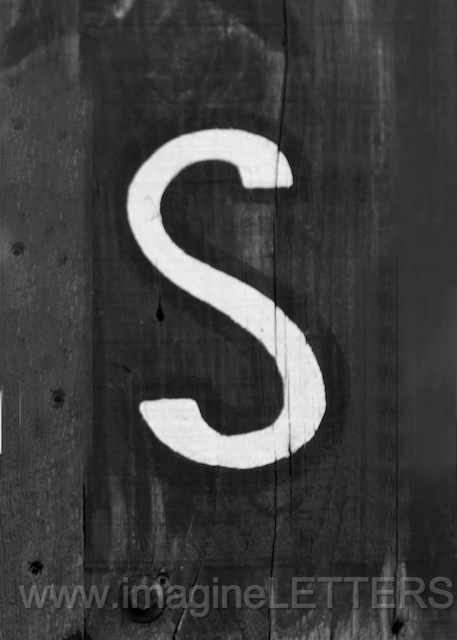 Wall_Art_Alphabet_Photography_Art_ 2001.jpg